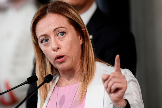 Maternità surrogata sarà reato universale: "Utero in affitto perseguibile anche all'estero" 15