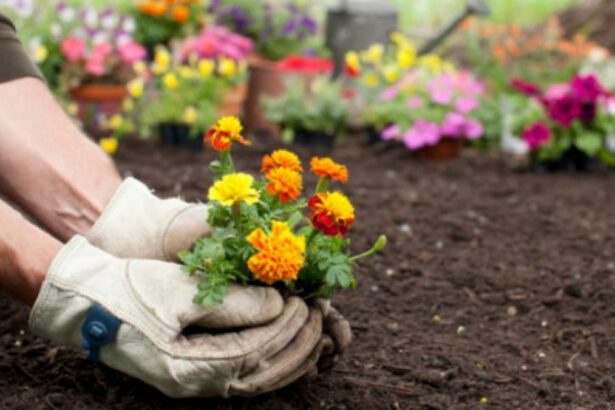 Giardinaggio sempre più amato in Italia, spinto anche dall’e-commerce 5