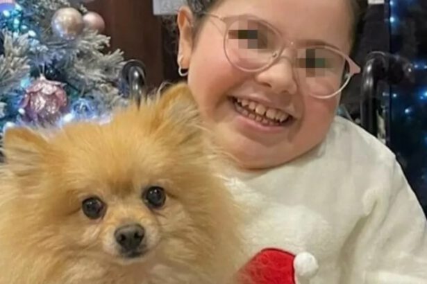 I ladri hanno restituito il cane alla bimba disabile: "Per lei è come un fratello" 19