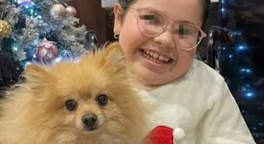 I ladri hanno restituito il cane alla bimba disabile: "Per lei è come un fratello" 1