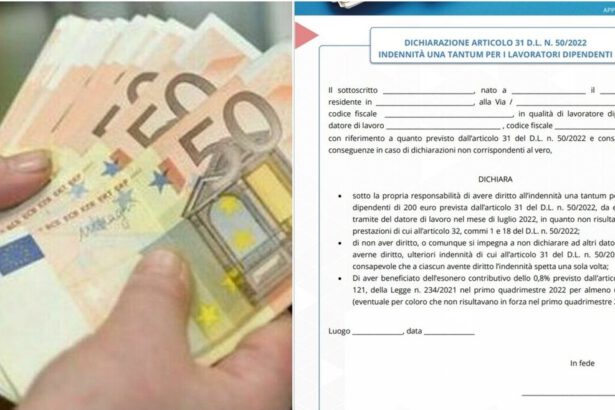 Bonus 200 euro non automatico per dipendenti: il modulo per ottenerlo e come compilarlo 17