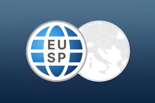 È arrivata la fine di Google? Nel 2025 arriva EUSP 11