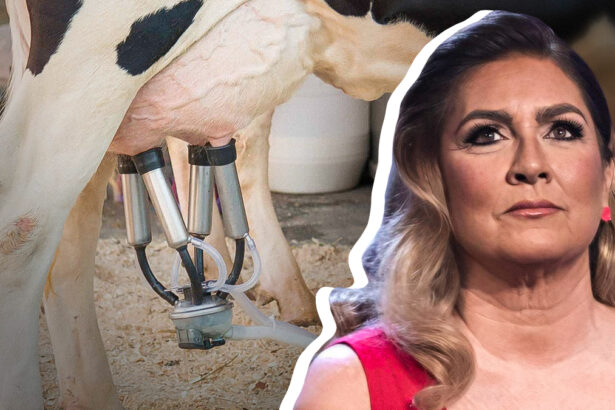 Perché non bere il latte di mucca? Si battono Romina Power e il medico Franco Berrino 18