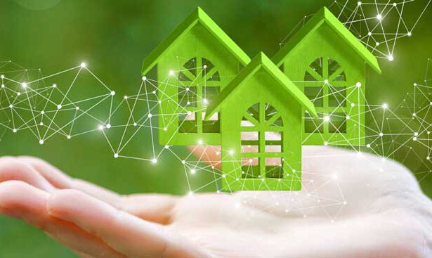 Prestiti agevolati per motivi ecofriendly: la svolta green degli istituti fiziari 13