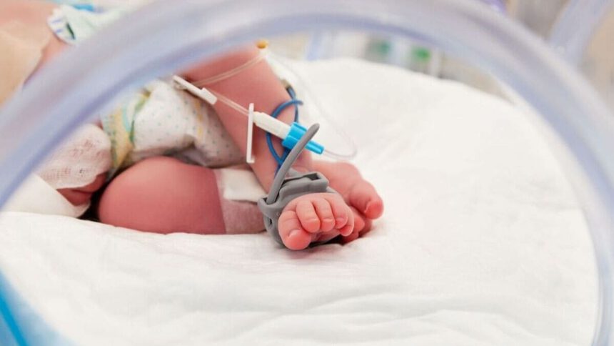 Intervento record al Bambino Gesù: rimosso tumore di 2 kg dal fegato di una bimba di 10 mesi 1