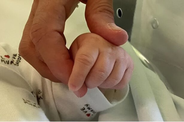 Neonato abbandonato vicino a un cassonetto a Taranto: “Salvato da un cane" 10