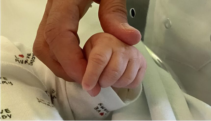 Neonato abbandonato vicino a un cassonetto a Taranto: “Salvato da un cane" 1