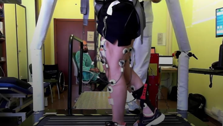 Toro a camminare con un neurostimolatore midollare: "Inizio di una nuova era" 3