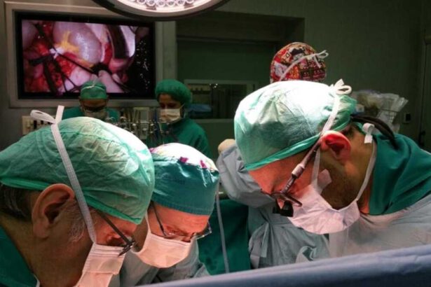 Intervento record a Novara, doppio trapianto di reni in 24 ore: "Salvi mamma e figlio con sindrome di Alport" 18