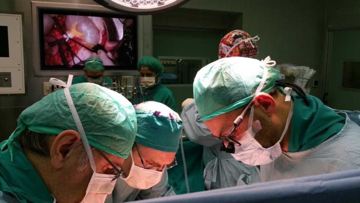 Intervento record a Novara, doppio trapianto di reni in 24 ore: "Salvi mamma e figlio con sindrome di Alport" 11
