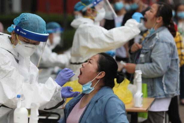 Cina, identificato nuovo batterio, colpisce fegato e reni: “È più mortale del Covid” 13