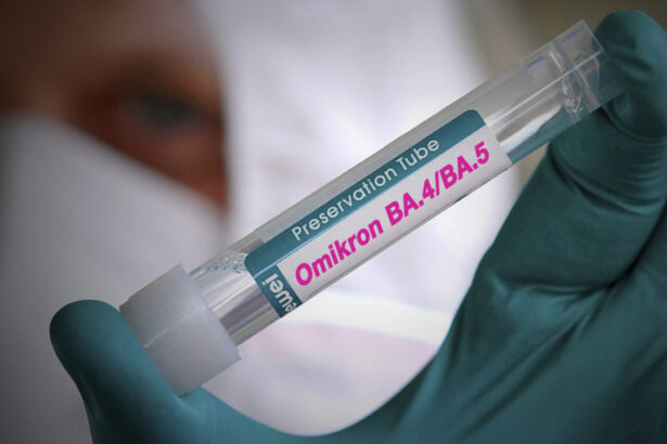 Omicron 5: perché si diffonde malgrado il caldo, quanto durerà e i farmaci per combatterla 7