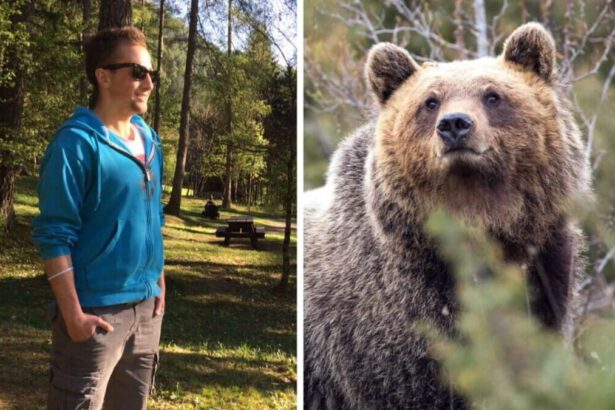 Tar sospende abbattimento dell’orsa JJ4, Lav: “L'azione appariva più come un gesto di vendetta” 13