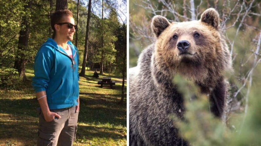 Tar sospende abbattimento dell’orsa JJ4, Lav: “L'azione appariva più come un gesto di vendetta” 1