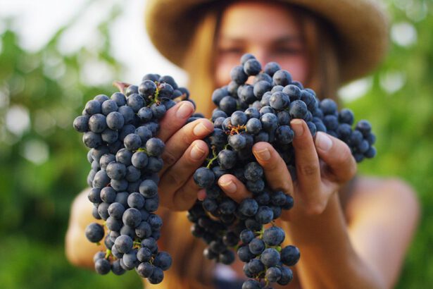 Oscar Farinetti: "Siamo riusciti a convincere i giovani a occuparsi di agricoltura" 20