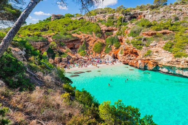 Volo in overbooking, passeggero scende dall’aereo: vince 250 euro e un viaggio gratis 5