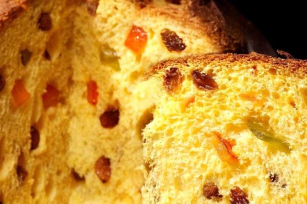 Che cos'è il PanCricri e perché è il panettone del futuro con farina di grillo 14