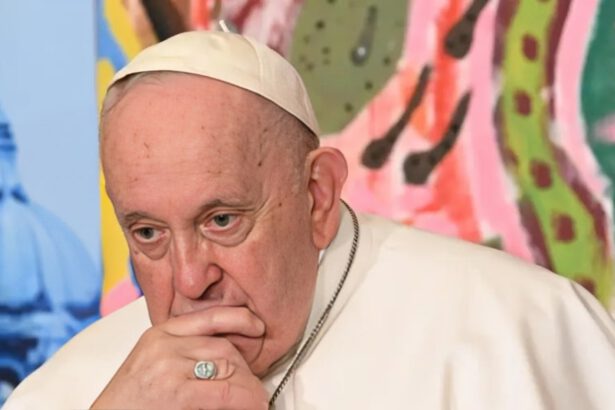 Papa Francesco, la frase incriminata, le scuse, i commenti di Cerno e Maesi 11