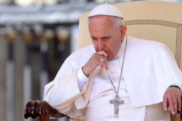 Papa Francesco parla di dimissioni: "Se rinunciassi vorrei essere vescovo emerito di Roma" 10