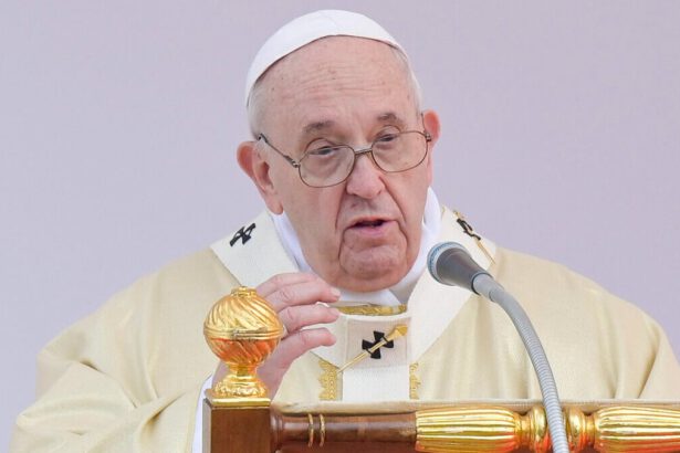 Papa: “In Ucraina non si riesce a vedere la fine della guerra, si trovi una soluzione per la pace” 9