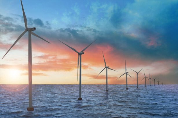 Parco eolico: come funziona e quali sono i benefici 61