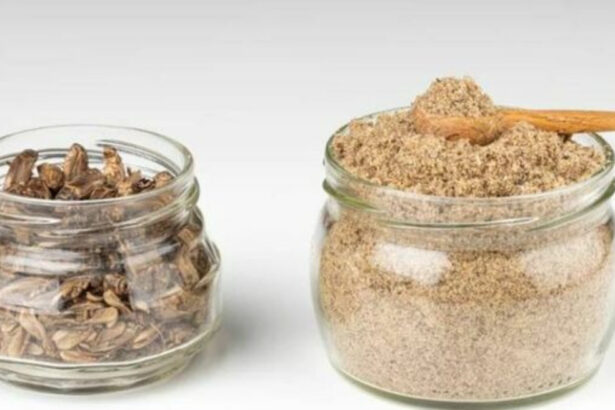 La prima pasta a base di insetti arriva Torino: colore e gusto. Sapremo distinguerla? 10