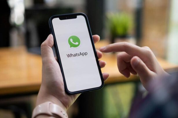 Novità in arrivo per WhatsApp: che cosa succede a partire dall'11 aprile? 14