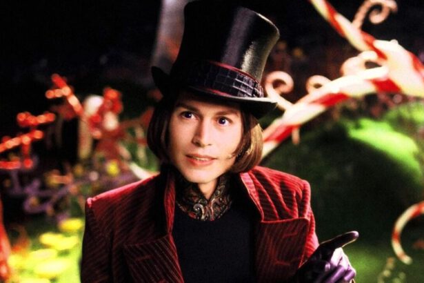 Che personaggio di fantasia saresti in base al Myers-Briggs Type Indicator: INFJ, INFP, ENFJ, ENFP 9