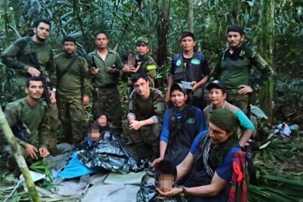 Trovati vivi 4 bambini nella giungla dopo 40 giorni: come hanno fatto a sopravvivere? 13