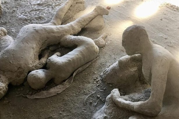 Pompei, lo studio del DNA riscrive la storia diversamente da come la conosciamo 19