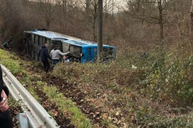 Potenza, bus con 40 studenti va fuoristrada: "Sono tutti salvi, è un miracolo" 9
