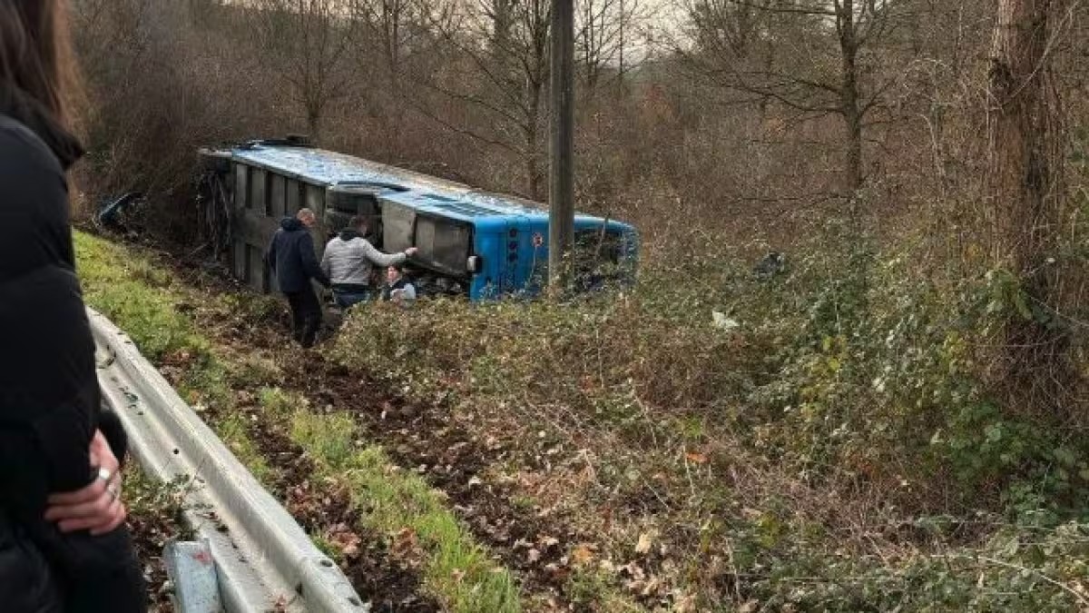 Potenza, bus con 40 studenti va fuoristrada: "Sono tutti salvi, è un miracolo" 15