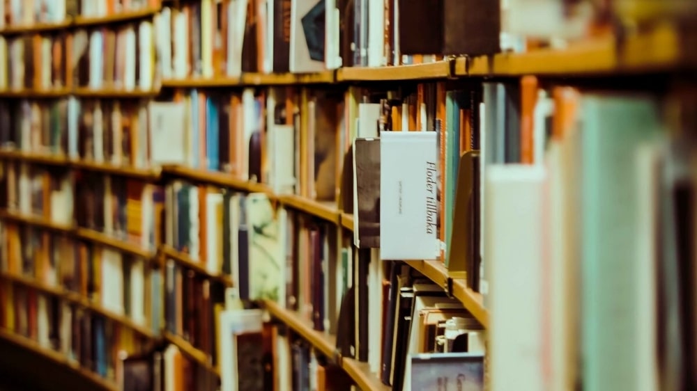 Premio Mastercard Letteratura 2024, tutte le opere finaliste: quando verranno decretati i vincitori 19