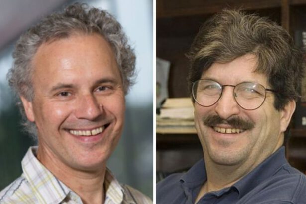 Premio Nobel per la Medicina 2024: la rivoluzione di Ambros e Ruvkun del microRNA 18