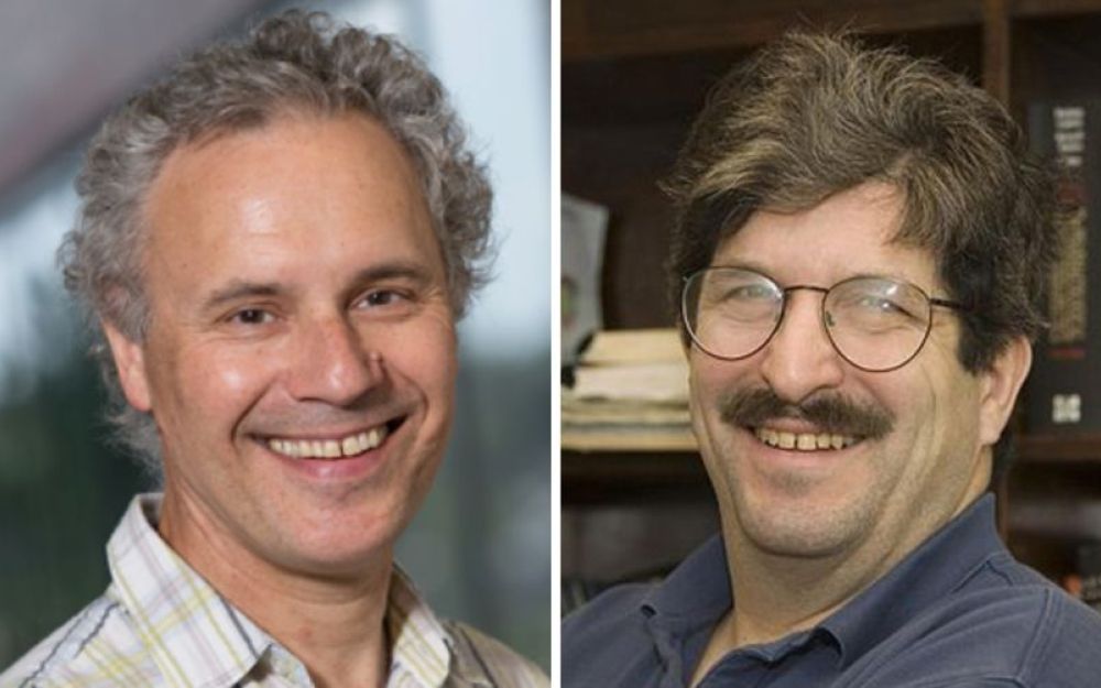 Premio Nobel per la Medicina 2024: la rivoluzione di Ambros e Ruvkun del microRNA 19