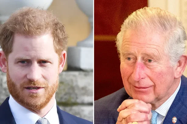 Harry accusa Re Carlo: "Voleva favorire Camilla, accordo con i tabloid" 6