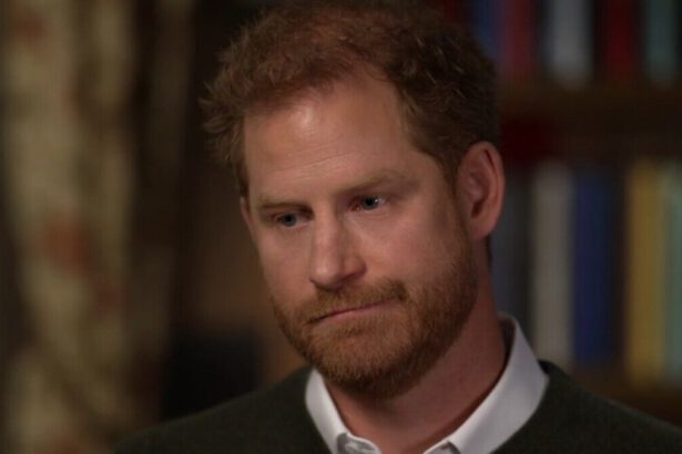 Harry, il principe rimane senza scorta: "Nessuna protezione, rischio come mia madre Diana" 14