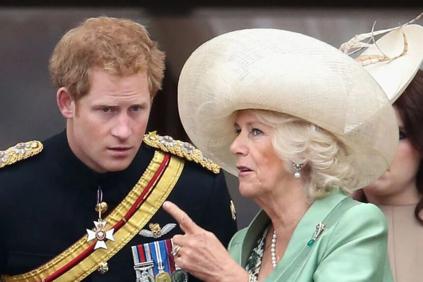 Il principe Harry contro Camilla: "Cattiva e pericolosa, pregammo mio padre di non sposarla" 1