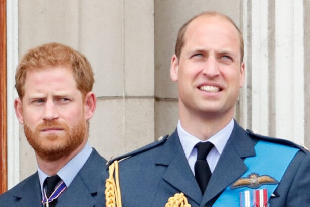 La rivelazione del principe Harry: "William mi aggredì fisicamente e mi chiese di non dirlo a Meghan" 14