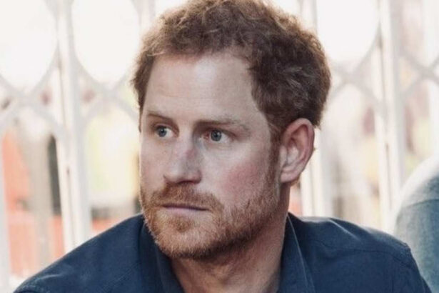 Il principe Harry si è pentito: "I vicini non mi salutano, attorno a me il vuoto" 12