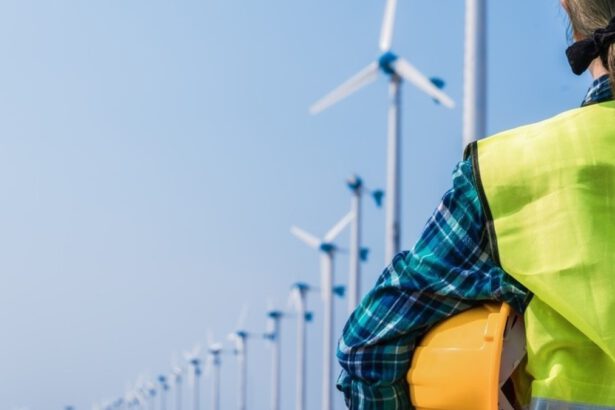 Quali sono le professioni green più richieste e come incrementare l'offerta di lavoro 45