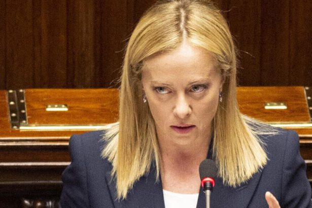 Tetto contanti, flax tax, energia: in cosa consiste il programma di Meloni 18