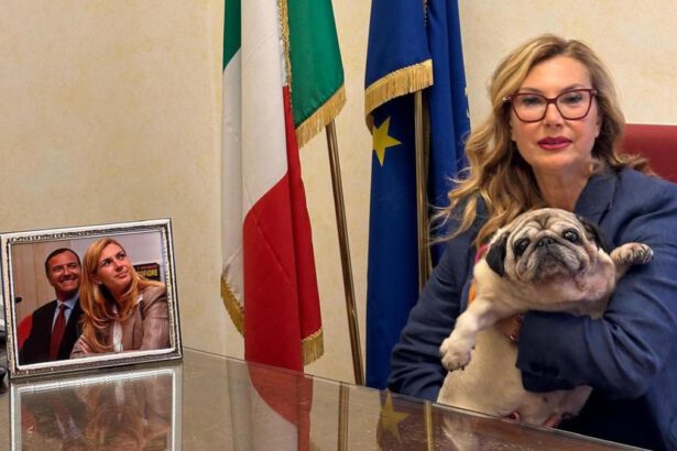 La cagnolina Puggy è la prima a entrare in Senato: "È stata buonissima" 11