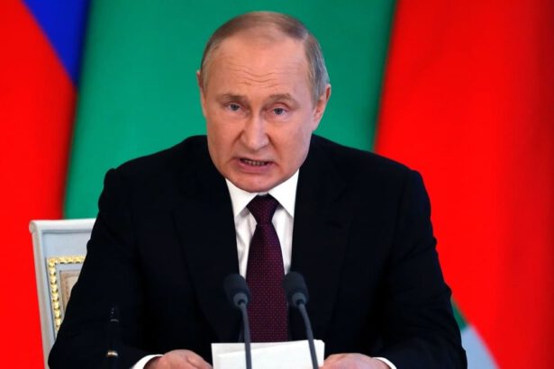 Putin: “Non abbiamo ancora iniziato sul serio in Ucraina” 17