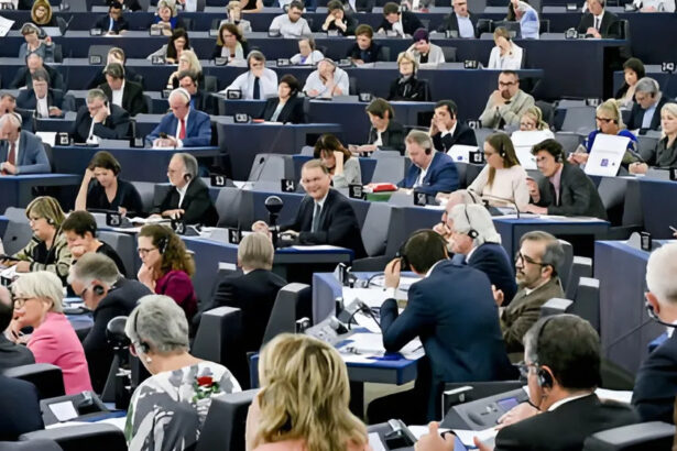 Quanto guadagna un europarlamentare? Ecco tutte le cifre 17