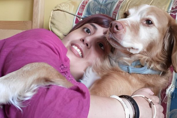 Bologna, ragazza non vedente denuncia: "Nessuno mi affitta casa, non accettano il mio cane guida" 15