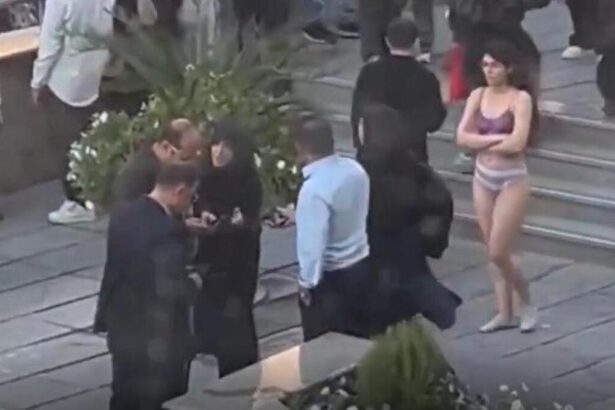 Ahou Daryaei sfida il regime e cammina in intimo nella sua università a Teheran: "Icona di libertà" 20