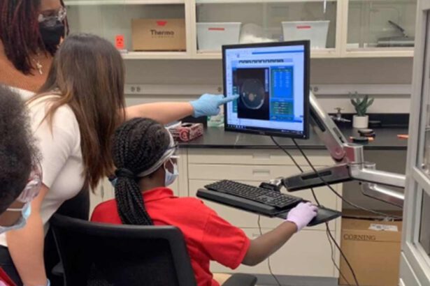 Un ragazzino a Chicago ha scoperto una molecola per combattere il cancro ovarico 9