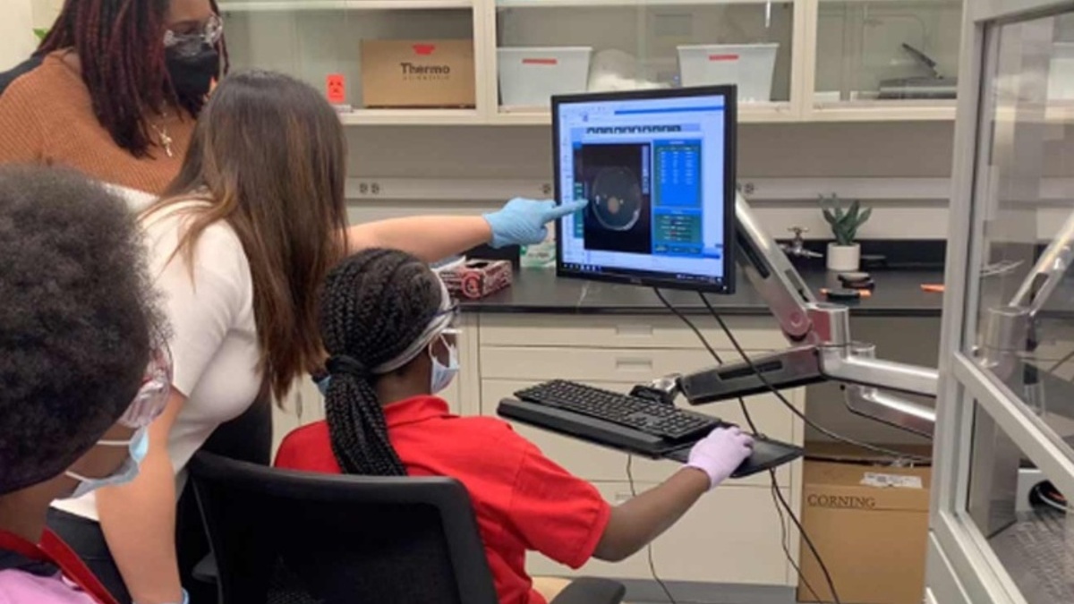 Un ragazzino a Chicago ha scoperto una molecola per combattere il cancro ovarico 11