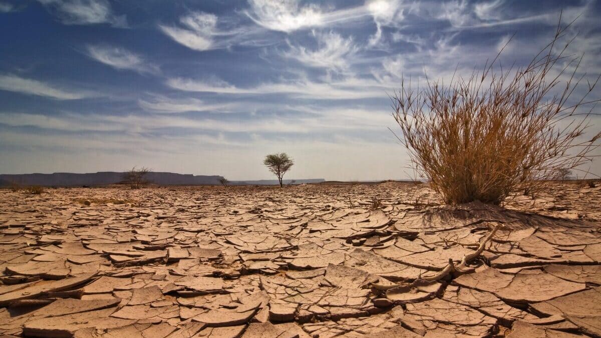 Rapporto sul clima: “Europa si riscalda il doppio rispetto alla media globale” 17